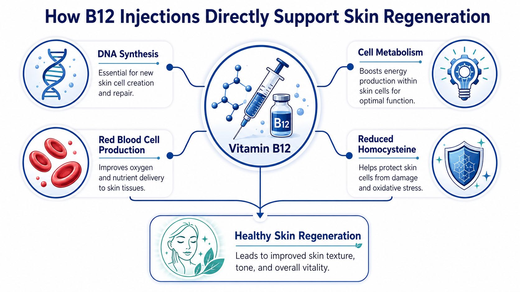 An infographic illustrating how vitamin B12 injections support skin regeneration through DNA synthesis, metabolism, and circulation.