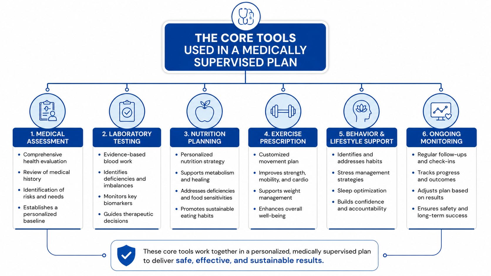 A flowchart detailing the six core tools used in a comprehensive, medically supervised health and wellness plan.