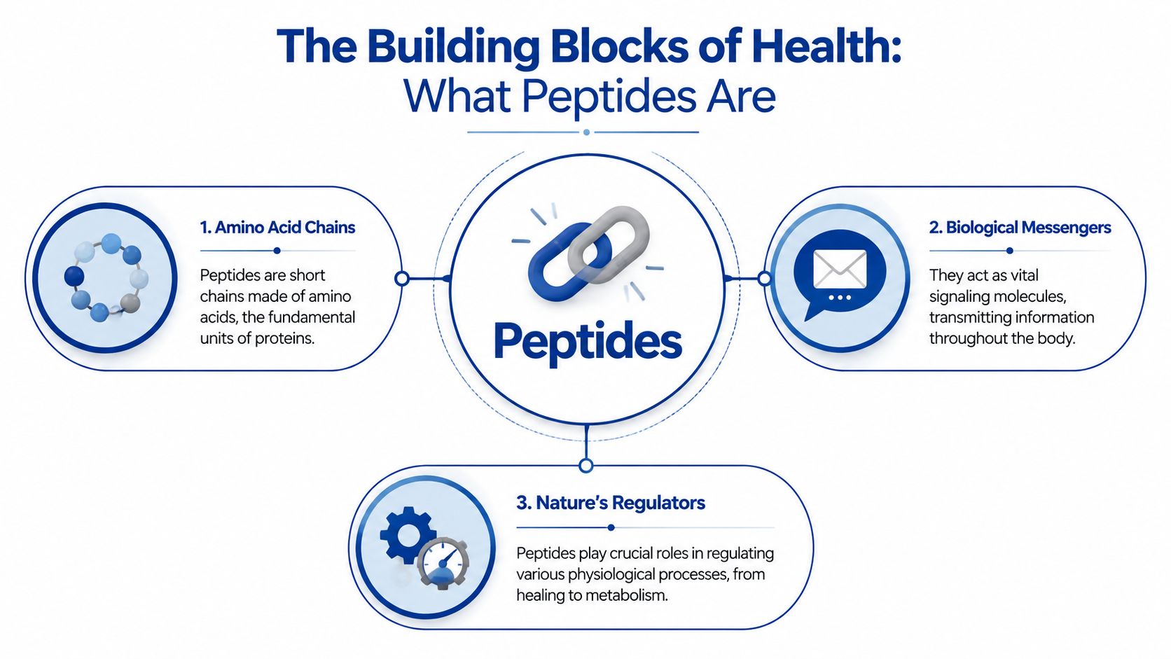 An infographic titled The Building Blocks of Health explaining that peptides are amino acid chains, biological messengers, and nature's regulators.