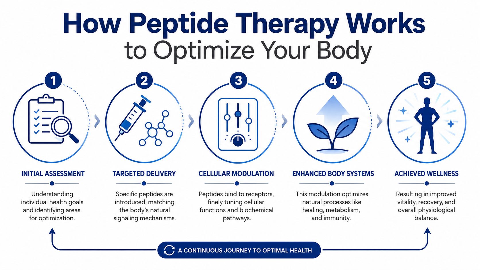 A five-step infographic explaining how peptide therapy works to optimize body function for better health.