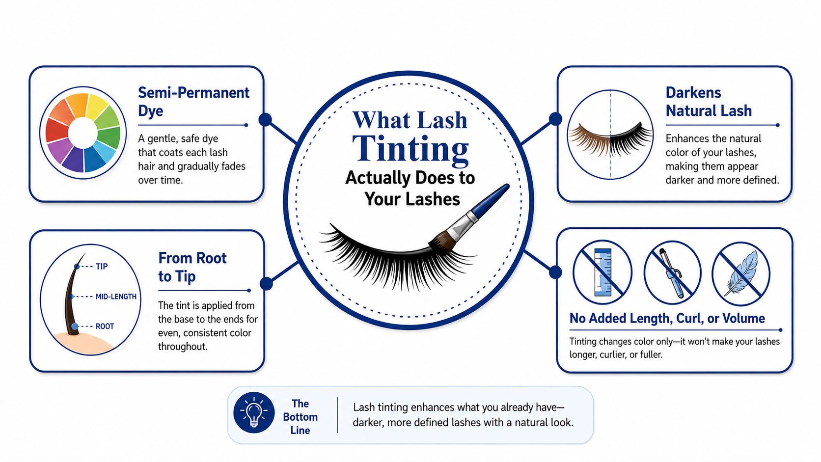 An infographic explaining how lash tinting works to darken natural lashes without adding length, curl, or volume.